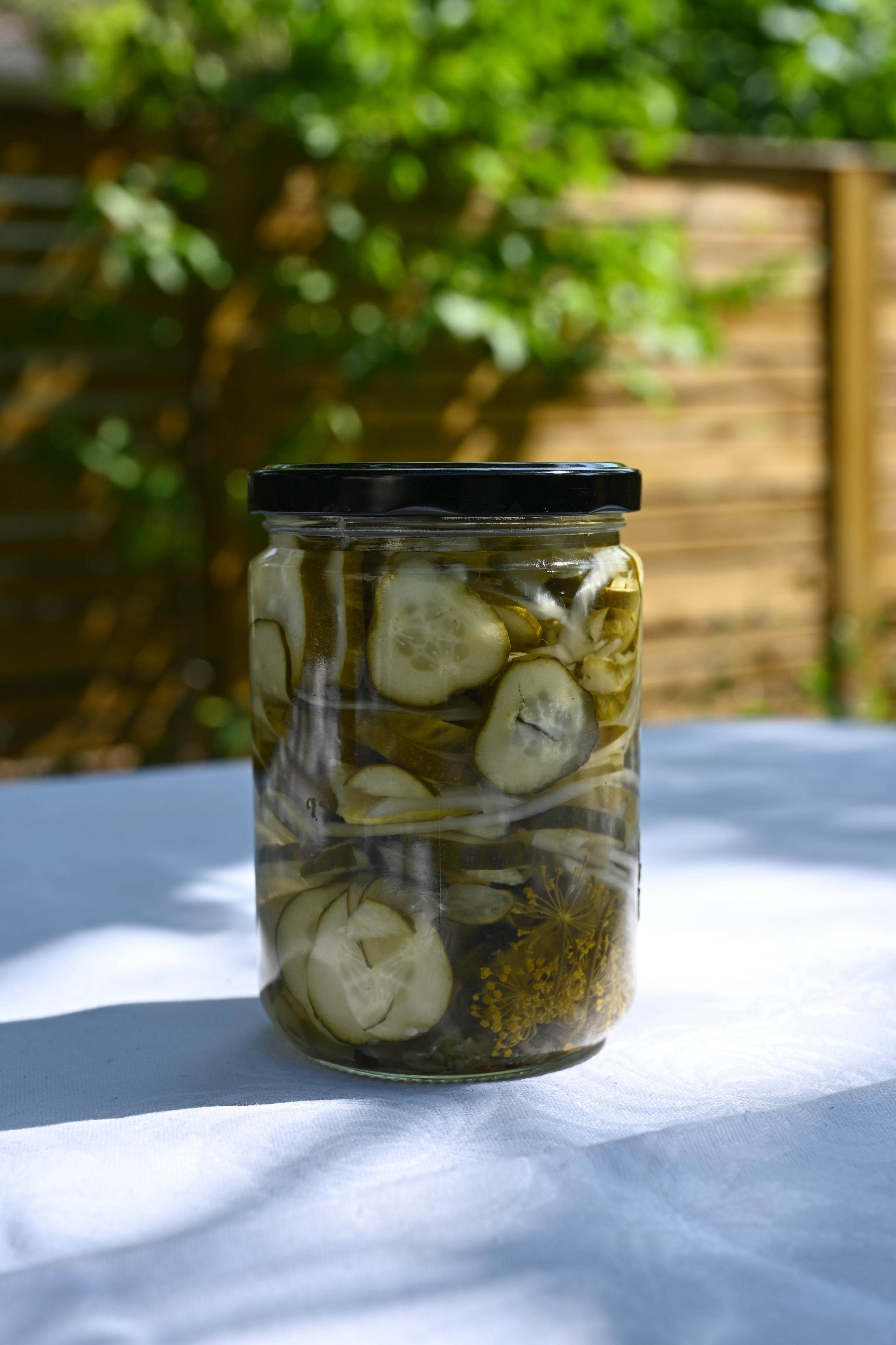 Ballpark Dills - Morrison & Co.