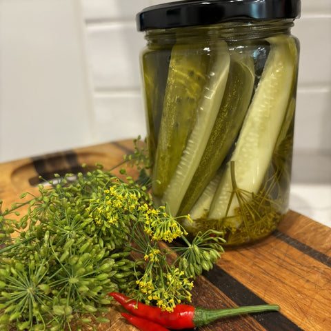 One jar of spicy dill pickles with dill and a thai chili in the photo