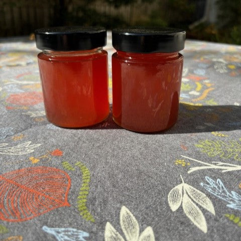 Two jars of rhubarb jelly