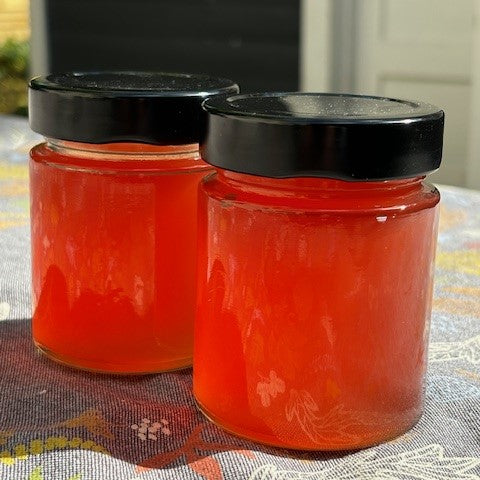 Two jars of rhubarb jelly close up