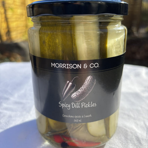 Spicy Dill Pickles