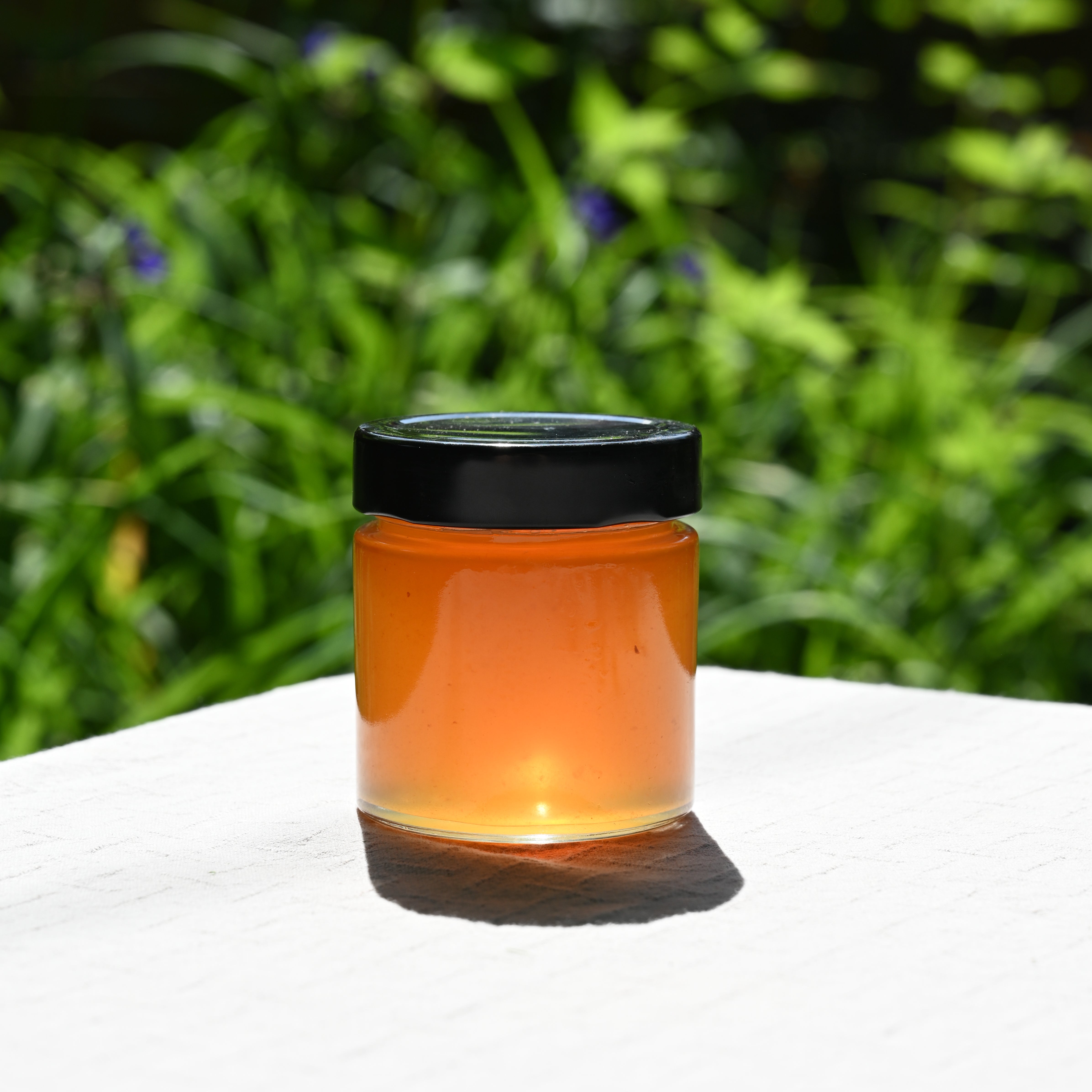 Jar of apple jelly with a black lid on a white surface with a green, blurred natural background